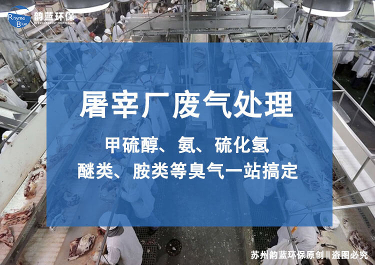 屠宰厂废气处理装置的种类及其特点